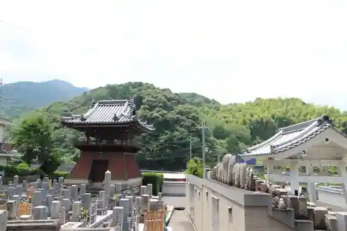 禅林寺のお墓