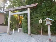 猿田彦神社の鳥居