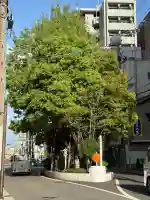 楠木大神の{uncategorized: "未分類", other: "その他", undefined: "問題あり", building: "その他建物", grave: "お墓", sacred_gate: "鳥居", guardian: "狛犬", statue: "像", buddha: "仏像", history: "歴史", nature: "自然", garden: "庭園", animal: "動物", pagoda: "塔", temizu: "手水舎", mountain_gate: "山門・神門", sanctuary: "本殿・本堂", subordinate: "末社・摂社", art: "芸術", scenery: "景色", jizo: "地蔵", ema: "絵馬", goshuin: "御朱印", omikuji: "おみくじ", items: "授与品その他", amulet: "お守り", goshuincho: "御朱印帳", eats: "食事", festival: "お祭り", votive_dance: "神楽", shichigosan: "七五三参", wedding: "結婚式", experience: "体験その他", initially: "初詣", around: "周辺", anti_infection: "感染症対策"}
