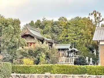 白鬚神社の本殿・本堂