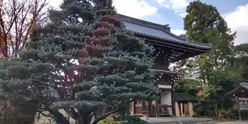梅宮大社(京都府)