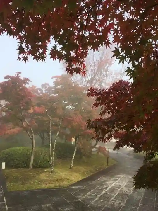 将軍塚青龍殿(青蓮院門跡)(京都府)