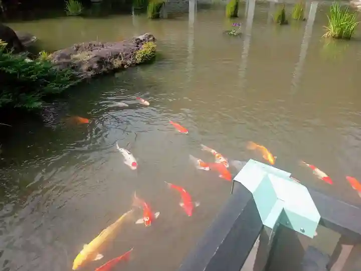 東郷神社(東京都)