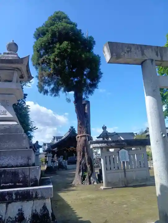 白山社(前飛保町)(愛知県)