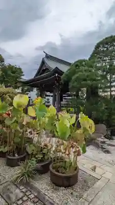 円林寺(東京都)