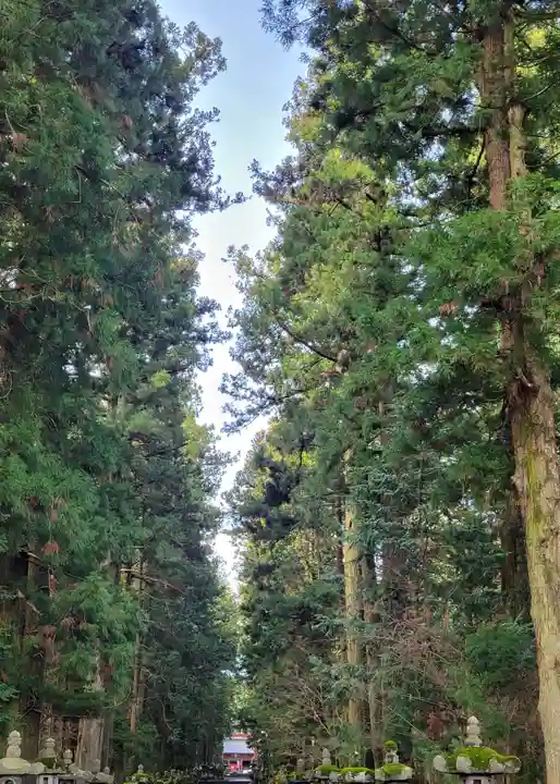 北口本宮冨士浅間神社の自然
