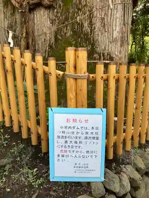 奥氷川神社(東京都)