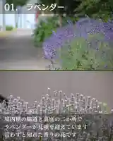 宝光寺(北海道)