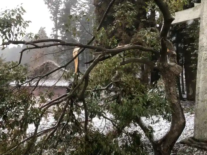 弓削神社の自然