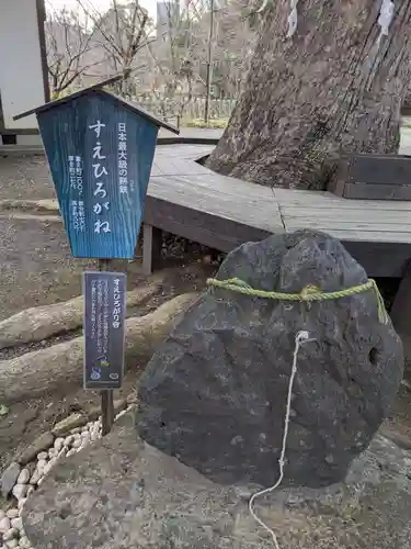 平野神社(京都府)