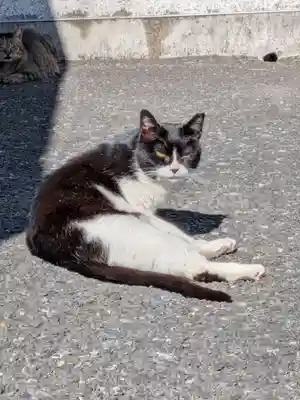 白金氷川神社(東京都)