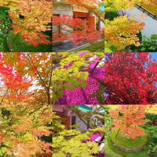 寿量山　速成寺の自然