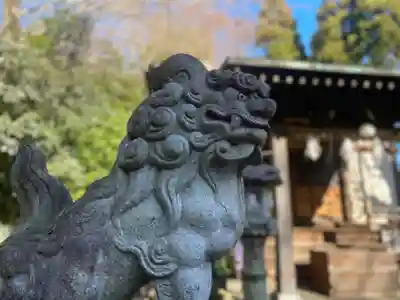 浅間神社の狛犬
