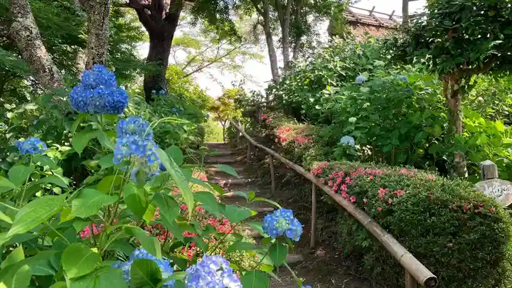 普門寺(岡山県)