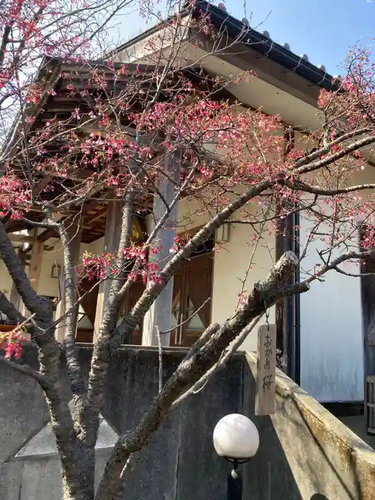 龍峰寺(神奈川県)