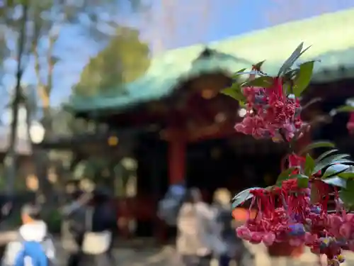 赤坂氷川神社(東京都)