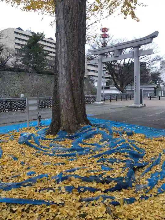 福井神社(福井県)