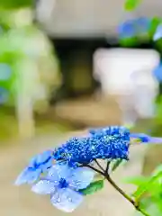 楽法寺（雨引観音）の自然