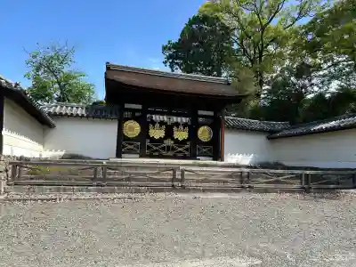 三宝院(三宝院門跡)の{uncategorized: "未分類", other: "その他", undefined: "問題あり", building: "その他建物", grave: "お墓", sacred_gate: "鳥居", guardian: "狛犬", statue: "像", buddha: "仏像", history: "歴史", nature: "自然", garden: "庭園", animal: "動物", pagoda: "塔", temizu: "手水舎", mountain_gate: "山門・神門", sanctuary: "本殿・本堂", subordinate: "末社・摂社", art: "芸術", scenery: "景色", jizo: "地蔵", ema: "絵馬", goshuin: "御朱印", omikuji: "おみくじ", items: "授与品その他", amulet: "お守り", goshuincho: "御朱印帳", eats: "食事", festival: "お祭り", votive_dance: "神楽", shichigosan: "七五三参", wedding: "結婚式", experience: "体験その他", initially: "初詣", around: "周辺", anti_infection: "感染症対策"}
