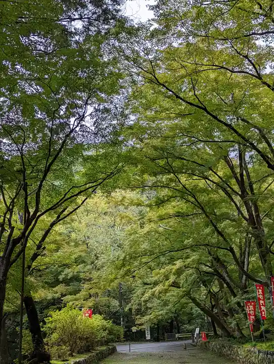 毘沙門堂門跡の景色