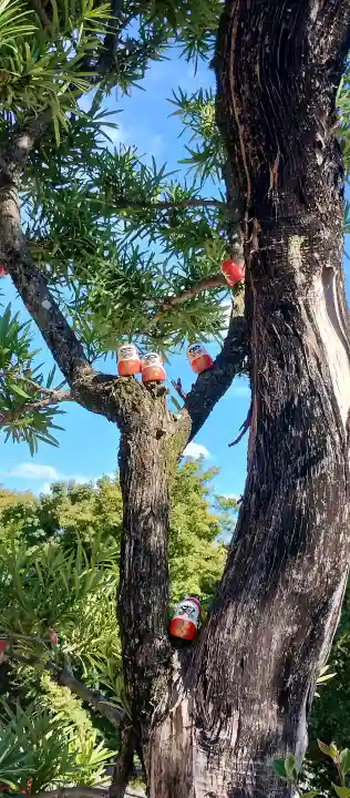 勝尾寺の{uncategorized: "未分類", other: "その他", undefined: "問題あり", building: "その他建物", grave: "お墓", sacred_gate: "鳥居", guardian: "狛犬", statue: "像", buddha: "仏像", history: "歴史", nature: "自然", garden: "庭園", animal: "動物", pagoda: "塔", temizu: "手水舎", mountain_gate: "山門・神門", sanctuary: "本殿・本堂", subordinate: "末社・摂社", art: "芸術", scenery: "景色", jizo: "地蔵", ema: "絵馬", goshuin: "御朱印", omikuji: "おみくじ", items: "授与品その他", amulet: "お守り", goshuincho: "御朱印帳", eats: "食事", festival: "お祭り", votive_dance: "神楽", shichigosan: "七五三参", wedding: "結婚式", experience: "体験その他", initially: "初詣", around: "周辺", anti_infection: "感染症対策"}