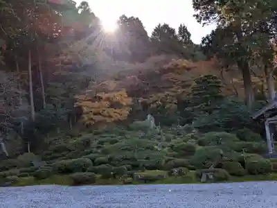 萬徳寺(福井県)