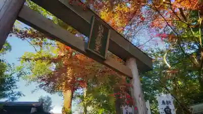 若宮神明社の鳥居