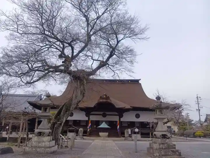 曼陀羅寺(愛知県)