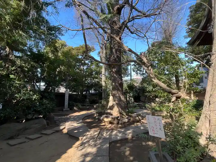 奥澤神社(東京都)