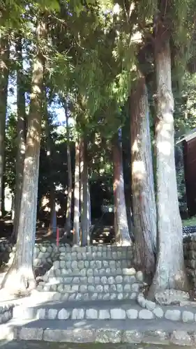 八幡神社の自然