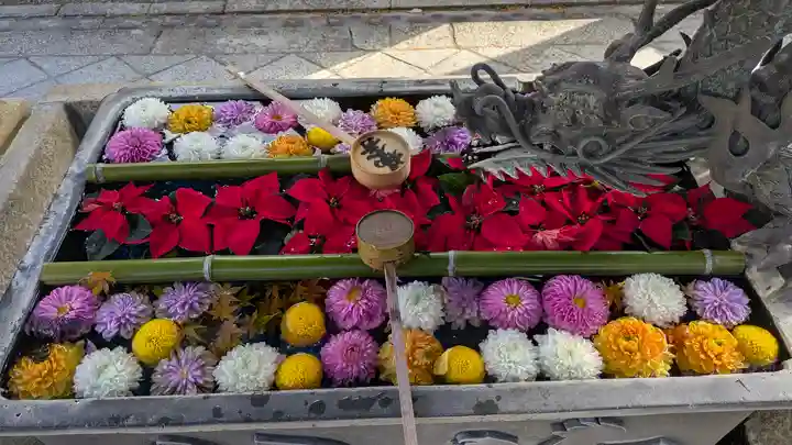 柳谷観音 楊谷寺(京都府)