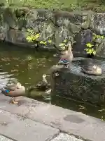 西新井大師総持寺(東京都)