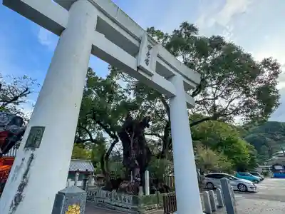 八代神社(熊本県)