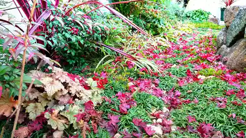 寿量山　速成寺の自然