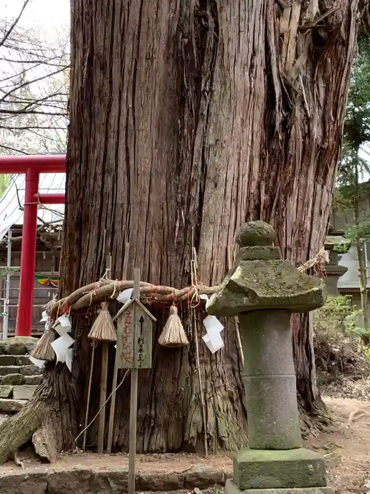 磐椅神社の自然