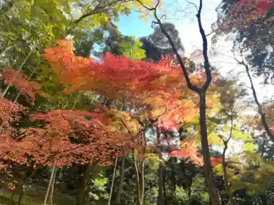 神峯山寺(大阪府)