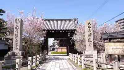 妙蓮寺(京都府)