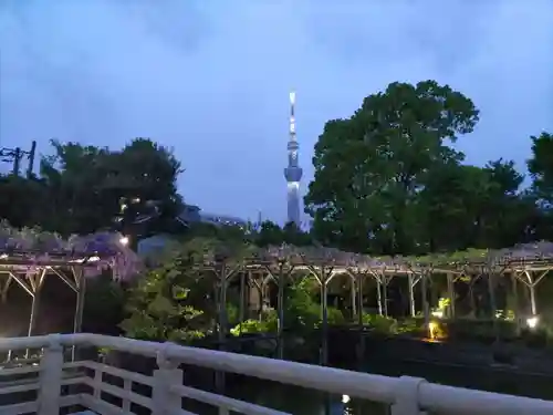 亀戸天神社(東京都)