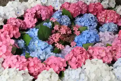 田村神社の手水舎