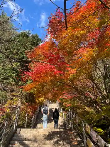 新倉富士浅間神社の景色