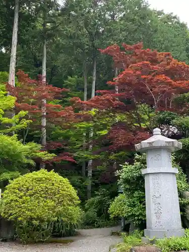 崇禅寺の庭園