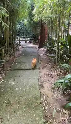 浄智寺(神奈川県)