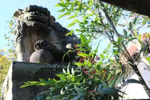 豊景神社の狛犬