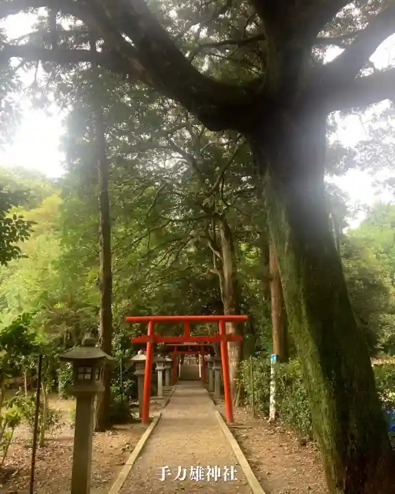 手力雄神社(岐阜県)