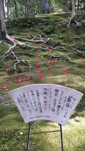 城南宮(京都府)