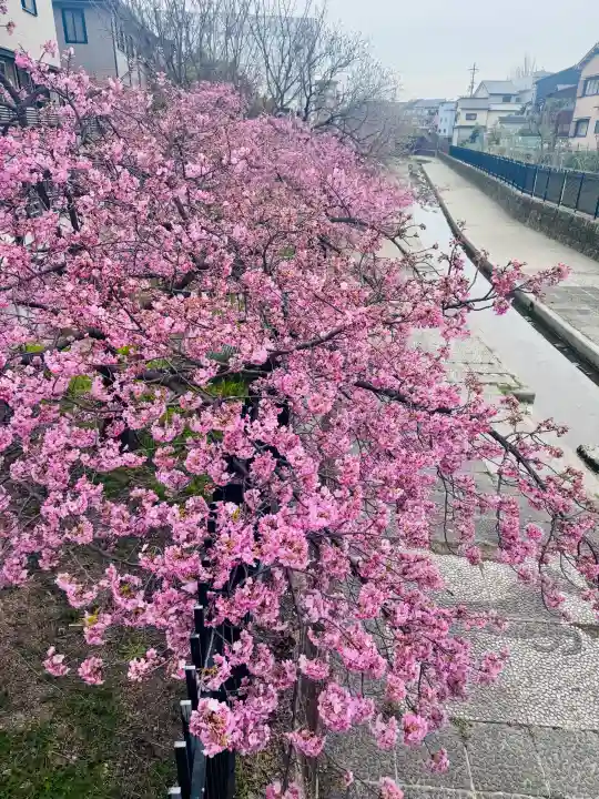 木津釈迦堂の{uncategorized: "未分類", other: "その他", undefined: "問題あり", building: "その他建物", grave: "お墓", sacred_gate: "鳥居", guardian: "狛犬", statue: "像", buddha: "仏像", history: "歴史", nature: "自然", garden: "庭園", animal: "動物", pagoda: "塔", temizu: "手水舎", mountain_gate: "山門・神門", sanctuary: "本殿・本堂", subordinate: "末社・摂社", art: "芸術", scenery: "景色", jizo: "地蔵", ema: "絵馬", goshuin: "御朱印", omikuji: "おみくじ", items: "授与品その他", amulet: "お守り", goshuincho: "御朱印帳", eats: "食事", festival: "お祭り", votive_dance: "神楽", shichigosan: "七五三参", wedding: "結婚式", experience: "体験その他", initially: "初詣", around: "周辺", anti_infection: "感染症対策"}