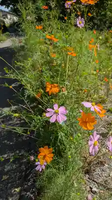西願寺(廃寺)(京都府)