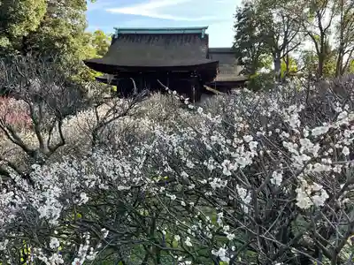 道明寺天満宮(大阪府)