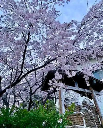 滑川神社 - 仕事と子どもの守り神の周辺