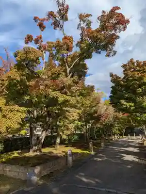  智積院(京都府)